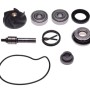 ΑΝΤΑΛ/ΚΑ ΤΡΟΜΠΑΣ ΝΕΡΟΥ PIAG BEVERLY 250/300 (37623)(2300)(FS155) - (ΤΑΙ)