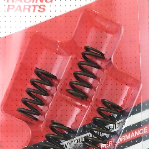 ΕΛΑΤΗΡΙΑ ΑΜΠΡΑΓΙΑΖ ΕΝΙΣΧΥΜΕΝΑ YMH CRYPTON-R 105/115 (Y110) 