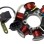ΠΗΝΙΟΦΟΡΟΙ PIAG 50 2T TYPH/RUNNER/ZIP 6Π (5+1)1Φ6Ε (BL072) - (ΤΑΙ)