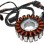 ΠΗΝΙΟΦΟΡΟΙ PIAG BEVERLY 250/300 18Π 2Φ6Ε (BL39031) - (ΤΑΙ)
