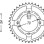 ΓΡΑΝΑΖΙ ΟΠΙΣΘ ASTREA SUPRA 263 40Δ PBR 263