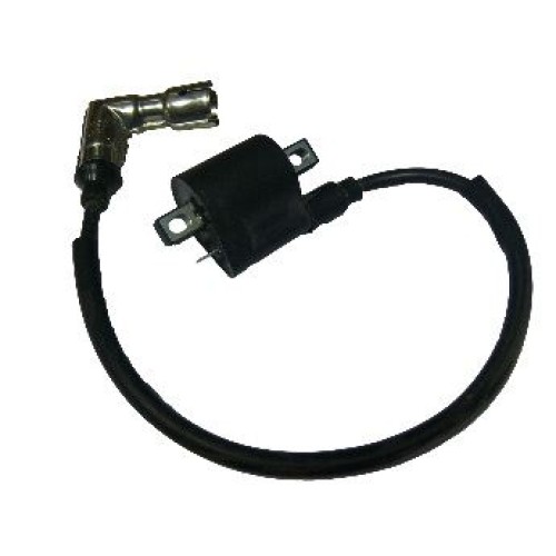 ΠΟΛΛΑΠΛΑΣΙΑΣΤΗΣ SKYJET125 ROC