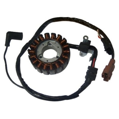 ΜΠΟΜΠΙΝΟΦΟΡΟΣ BEVERLY 250 300 TOURER MP3 18ΜΠΟ 6ΚΑΛ 246350102 ROC