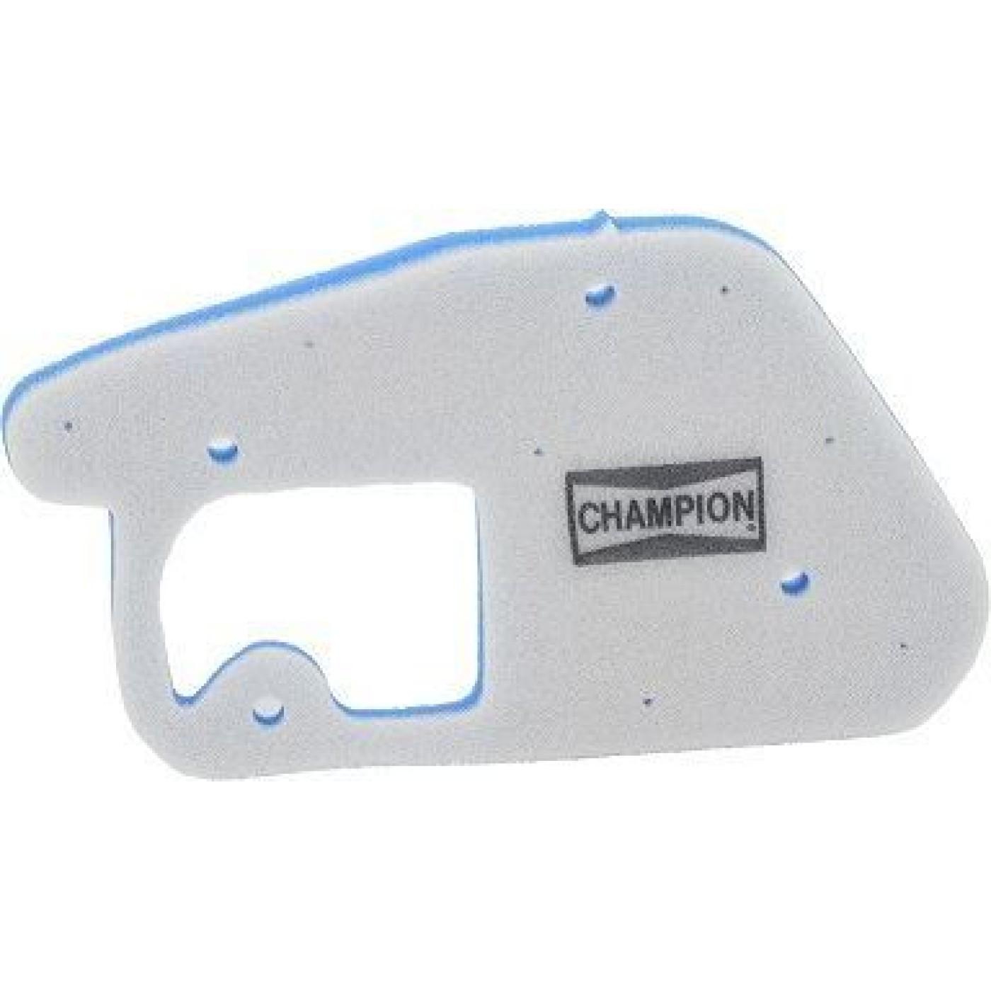 ΦΙΛΤΡΟ ΑΕΡΟΣ CHCAF3002DS HFA4002 BWS50 03-09 CHAMPION
