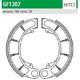 ΣΙΑΓΩΝΕΣ GF1307 FORESIGHT250 PANTHEON125 150 NEWFREN