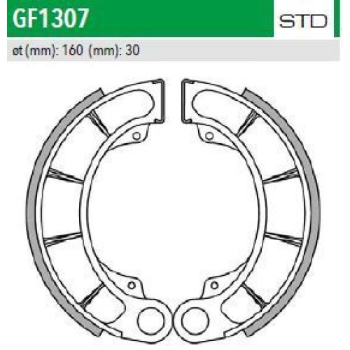ΣΙΑΓΩΝΕΣ GF1307 FORESIGHT250 PANTHEON125 150 NEWFREN