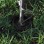 ΒΑΣΗ ΣΤΗΡΙΞΗΣ ΣΤΑΝ  Paddock Mate Black OX103 OXFORD (OF103)