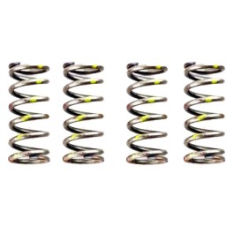 ΕΛΑΤΗΡΙΑ ΔΙΣΚΩΝ ΑΜΠΡ. YMH CRYPTON-R 105/115 (Y100) ΣΤΑΝΤΑΡ ΚΙΤΡΙΝΑ - (ΤΑΙ)