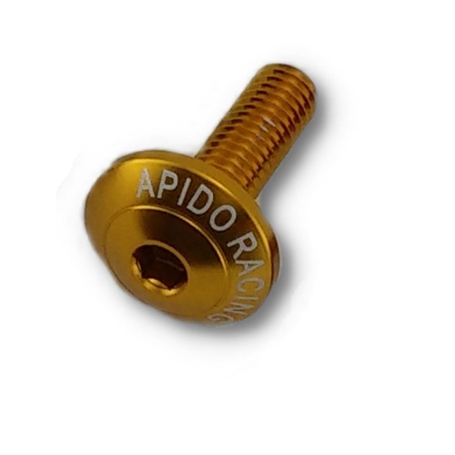 ΒΙΔΕΣ ΠΛΑΤΥΚΕΦΑΛΕΣ ΑΛΟΥΜ. APIDO Φ6 20mm ΧΡΥΣΕΣ (200) - (ΤΑΙ)